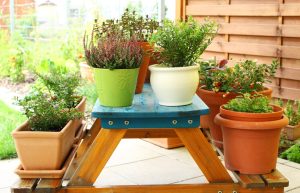 Outdoor pots for growing vegetables or container gardening